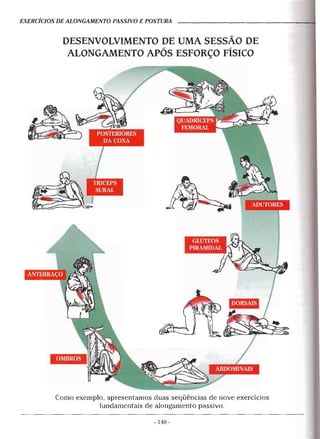 Geoffroy - Alongamento para todos