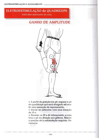 Geoffroy - Alongamento para todos