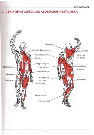 Geoffroy - Alongamento para todos