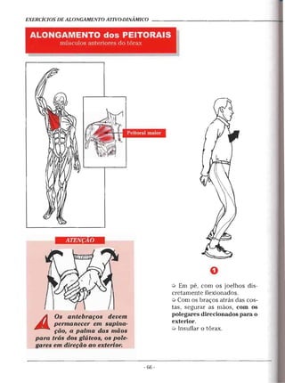Geoffroy - Alongamento para todos