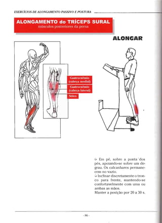 Geoffroy - Alongamento para todos