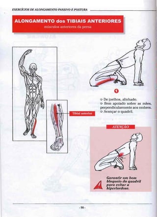 Geoffroy - Alongamento para todos