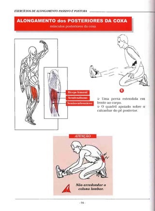 Geoffroy - Alongamento para todos