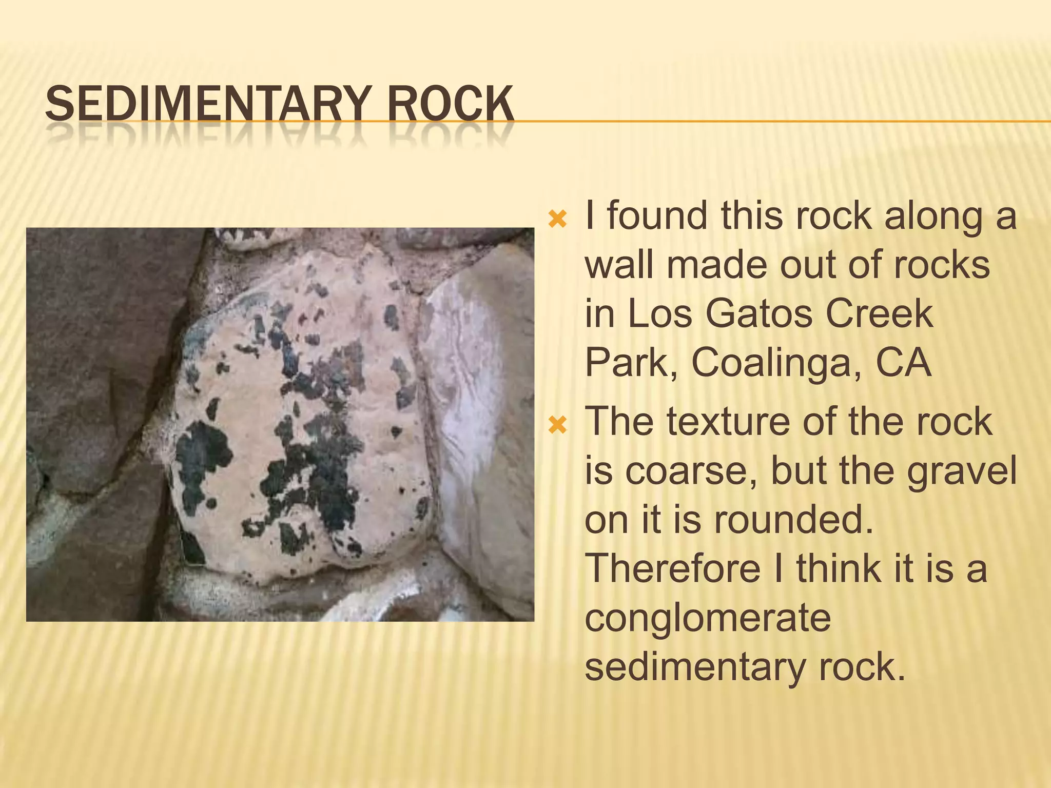 Sedimentary RockI found this rock along a wall made out of rocks in Los Gatos Creek Park, Coalinga, CAThe texture of the rock is coarse, but the gravel on it is rounded. Therefore I think it is a conglomerate sedimentary rock.