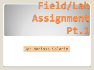 Field/Lab
   Assignment
         Pt.1
By: Marissa Solario
 