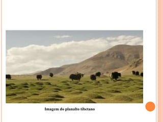 Imagem do planalto tibetano
 