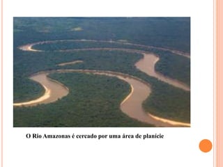O Rio Amazonas é cercado por uma área de planície
 