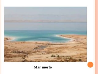 Mar morto
 