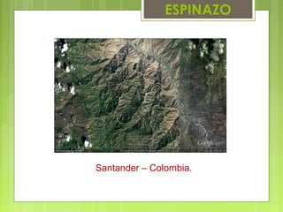 ESPINAZO
Santander – Colombia.