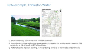 NFM example: Eddleston Water
 69km2 waterway, part of the River Tweed Catchment
 Straightened to improve land drainage leading to habitat loss and increased flood risk, 589
properties at risk of flooding (SEPA Flood Map)
 Actions to date: Riparian planting, re-meandering, removal of manmade embankments
 