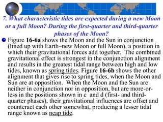 7. What characteristic tides are expected during a new Moon
or a full Moon? During the first-quarter and third-quarter
phases of the Moon?
Figure 16-6a shows the Moon and the Sun in conjunction
(lined up with Earth–new Moon or full Moon), a position in
which their gravitational forces add together. The combined
gravitational effect is strongest in the conjunction alignment
and results in the greatest tidal range between high and low
tides, known as spring tides. Figure 16-6b shows the other
alignment that gives rise to spring tides, when the Moon and
Sun are at opposition. When the Moon and the Sun are
neither in conjunction nor in opposition, but are more-or-
less in the positions shown in c and d (first- and third-
quarter phases), their gravitational influences are offset and
counteract each other somewhat, producing a lesser tidal
range known as neap tide.
 