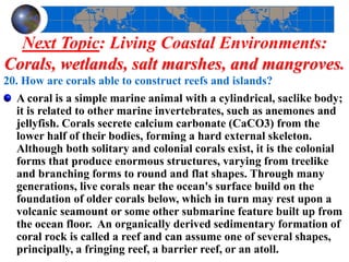 Next Topic: Living Coastal Environments:
Corals, wetlands, salt marshes, and mangroves.
20. How are corals able to construct reefs and islands?
A coral is a simple marine animal with a cylindrical, saclike body;
it is related to other marine invertebrates, such as anemones and
jellyfish. Corals secrete calcium carbonate (CaCO3) from the
lower half of their bodies, forming a hard external skeleton.
Although both solitary and colonial corals exist, it is the colonial
forms that produce enormous structures, varying from treelike
and branching forms to round and flat shapes. Through many
generations, live corals near the ocean's surface build on the
foundation of older corals below, which in turn may rest upon a
volcanic seamount or some other submarine feature built up from
the ocean floor. An organically derived sedimentary formation of
coral rock is called a reef and can assume one of several shapes,
principally, a fringing reef, a barrier reef, or an atoll.
 