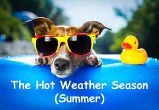 The Hot Weather Season
(Summer)
 