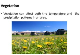Vegetation
• Vegetation can affect both the temperature and the
precipitation patterns in an area.
 
