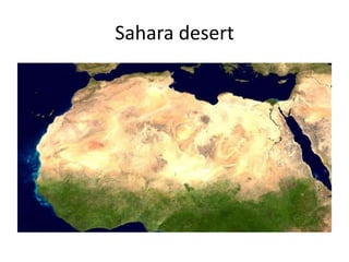 Sahara desert
