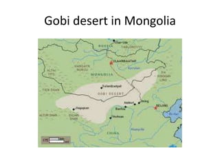 Gobi desert in Mongolia