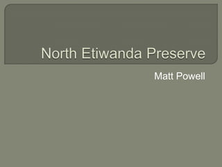 North Etiwanda Preserve Matt Powell 