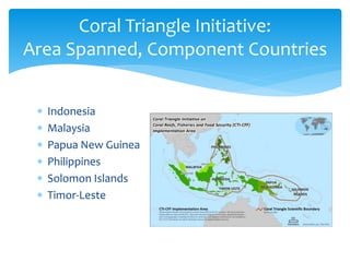 Coral Triangle Initiative: 
Area Spanned, Component Countries 
 Indonesia 
 Malaysia 
 Papua New Guinea 
 Philippines ...
