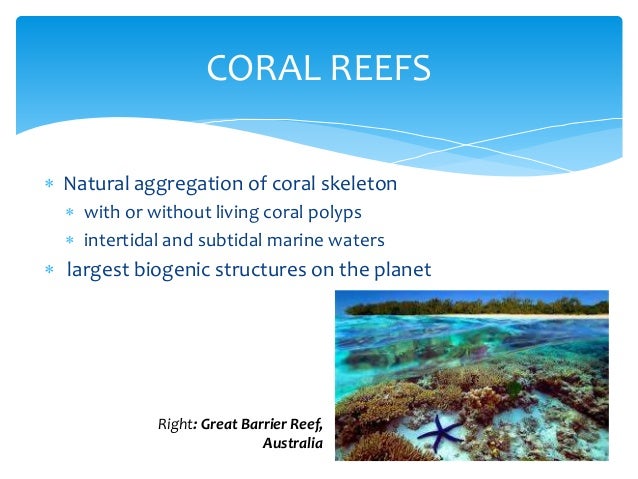 Degradation of Philippine Marine Life (2013)