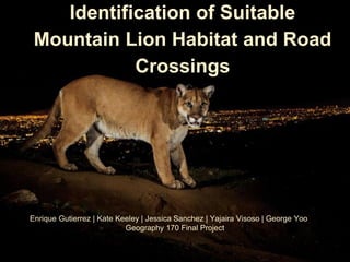 Identification of Suitable
Mountain Lion Habitat and Road
Crossings
Enrique Gutierrez | Kate Keeley | Jessica Sanchez | Yajaira Visoso | George Yoo
Geography 170 Final Project
 