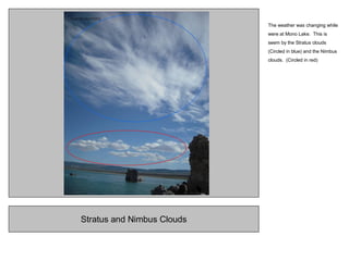 Stratus and Nimbus Clouds
The weather was changing while
were at Mono Lake. This is
seem by the Stratus clouds
(Circled in blue) and the Nimbus
clouds. (Circled in red)
 