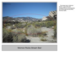 Mormon Rocks Stream Bed
This stream bed, in Mormon
Rocks, is part of the San
Andreas Rift Zone that separates
the Pacific plate and the North
American plate.
 