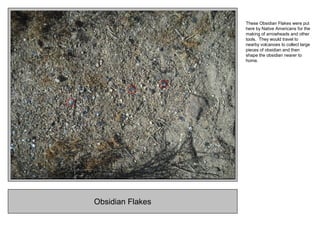 Obsidian Flakes
These Obsidian Flakes were put
here by Native Americans for the
making of arrowheads and other
tools. They would travel to
nearby volcanoes to collect large
pieces of obsidian and then
shape the obsidian nearer to
home.
 