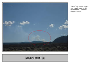 Nearby Forest Fire
At Mono Lake, we saw smoke
from a nearby forest fire. It is
unclear if it was a controlled
blaze or a wild fire.
 