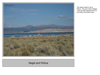 Neget and Pehoa
The island circled in red is
Pehoa. The one in blue is Neget.
They are both volcanoes form in
the center of the Mono Lake.
 