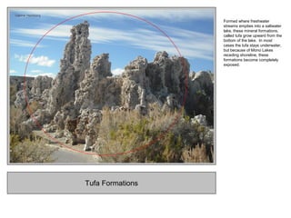 Tufa Formations
Formed where freshwater
streams empties into a saltwater
lake, these mineral formations,
called tufa grow upward from the
bottom of the lake. In most
cases the tufa stays underwater,
but because of Mono Lakes
receding shoreline, these
formations become completely
exposed.
 