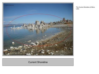Current Shoreline
The Current Shoreline of Mono
Lake.
 