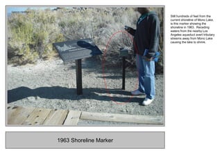 1963 Shoreline Marker
Still hundreds of feet from the
current shoreline of Mono Lake,
is this marker showing the
shoreline in 1963. Receding
waters from the nearby Los
Angeles aqueduct avert tributary
streams away from Mono Lake
causing the lake to shrink.
 