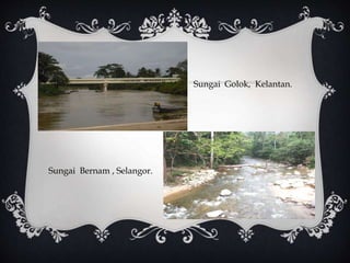 Kenyir kepentingan tasik Kepentingan Tasik