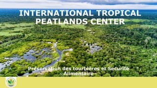 INTERNATIONAL TROPICAL
PEATLANDS CENTER
Préservation des tourbières et Securité
Alimentaire
 