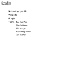 Credits National geographic Wikipedia  Google Team –  See Xuanhao  Ngo Kahhang Lim Hongyu Chua Peng Hwee Tan Junwei  