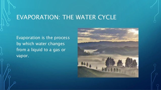 facts about evaporation