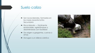 Suelo calizo 
 Son rocas blandas, formadas en 
los mares durante la Era 
Secundaria 
 Roca blanda --- fácilmente 
erosionable, agrietándose o 
disolviéndose con facilidad 
 Da origen a gargantas, cuevas o 
simas 
 Da lugar a un relieve cárstico 
 