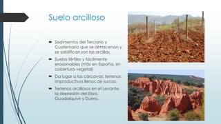 Suelo arcilloso 
 Sedimentos del Terciario y 
Cuaternario que se almacenan y 
se solidifican son las arcillas. 
 Suelos fértiles y fácilmente 
erosionables (más en España, sin 
cobertura vegetal) 
 Da lugar a las cárcavas: terrenos 
improductivos llenos de surcos. 
 Terrenos arcillosos en el Levante, 
la depresión del Ebro, 
Guadalquivir y Duero. 
 