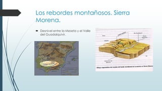 Los rebordes montañosos. Sierra 
Morena. 
 Desnivel entre la Meseta y el Valle 
del Guadalquivir. 
 
