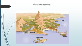 Vocabulario específico 
 