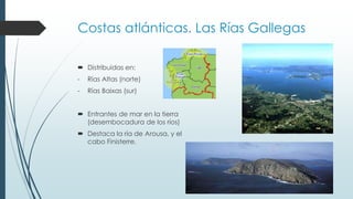 Costas atlánticas. Las Rías Gallegas 
 Distribuidas en: 
- Rías Altas (norte) 
- Rías Baixas (sur) 
 Entrantes de mar en la tierra 
(desembocadura de los ríos) 
 Destaca la ría de Arousa, y el 
cabo Finisterre. 
 