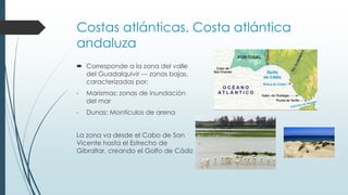 Costas atlánticas. Costa atlántica 
andaluza 
 Corresponde a la zona del valle 
del Guadalquivir --- zonas bajas, 
caracterizadas por: 
- Marismas: zonas de inundación 
del mar 
- Dunas: Montículos de arena 
La zona va desde el Cabo de San 
Vicente hasta el Estrecho de 
Gibraltar, creando el Golfo de Cádiz 
 
