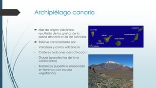 Archipiélago canario 
 Islas de origen volcánico, 
resultado de las grietas de la 
placa africana en la Era Terciaria 
 Relieve caracterizado por: 
- Volcanes y conos volcánicos 
- Cráteres (volcanes desactivados) 
- Diques (grandes ríos de lava 
solidificados) 
- Barrancos (superficie erosionada 
en terrenos con escasa 
vegetación) 
 