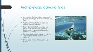 Archipiélago canario. Islas 
 Lanzarote: Referencia a Lancelot 
(conquistador)la más oriental de las 
islas. 
 Fuerteventura: Referencia a los 
fuertes vientos (alisios) 
 Gran Canaria: Referencia a las 
focas que habitaban cuando 
llegaron los españoles (grandes 
perros --- canes) 
 Tenerife: Referencia al gran volcán 
– Teide (montaña blanca en 
bereber) 
 Otras islas: Hierro, Gomera y La 
Palma 
