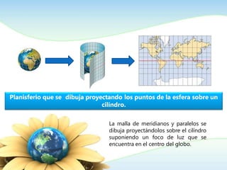 La malla de meridianos y paralelos se
dibuja proyectándolos sobre el cilíndro
suponiendo un foco de luz que se
encuentra en el centro del globo.
Planisferio que se dibuja proyectando los puntos de la esfera sobre un
cilíndro.
 