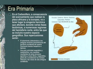 Era Primaria En el Carbonífero, a consecuencia del acercamiento que realizan la placa africana y la europea, va a tener lugar la orogenia hercínica que afectará, durante varias fases tectónicas, a numerosas regiones del hemisferio norte, entre las que se incluirá nuestro espacio geográfico. Sus repercusiones serán: El alzamiento (adosándose a los antiguos enclaves precámbricos) del territorio occidental de nuestra Península (macizo hespérico o ibérico). Una gran actividad magmática y metamórfica. Los roquedos resultantes de estos procesos (granitos y rocas afines, magmatitas, gneis,etc.) constituirán los núcleos internos y las raíces de esta antiguas cordilleras. 