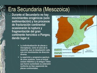 Era Secundaria (Mesozoica) Durante el Secundario no hay movimientos orogénicos (solo sedimentación) y los procesos de fracturación continental ocasionarán la ruptura y fragmentación del gran continente hercínico o Pangea, dando lugar a: La individualización de placas o microplacas, como el caso de la española, que se desplazarán cada una con movimientos de dirección diversa. La aparición y progresiva apertura de unos océanos, como el actual océano Atlántico y el antiguo Tethis que fueron aumentado su extensión conforme se iban separando las placas continentales. 
