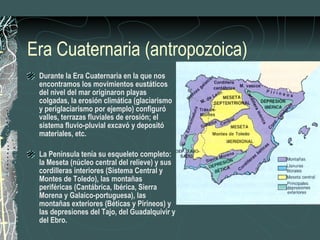 Era Cuaternaria (antropozoica) Durante la Era Cuaternaria en la que nos encontramos los movimientos eustáticos del nivel del mar originaron playas colgadas, la erosión climática (glaciarismo y periglaciarismo por ejemplo) configuró valles, terrazas fluviales de erosión; el sistema fluvio-pluvial excavó y depositó materiales, etc. La Península tenía su esqueleto completo: la Meseta (núcleo central del relieve) y sus cordilleras interiores (Sistema Central y Montes de Toledo), las montañas periféricas (Cantábrica, Ibérica, Sierra Morena y Galaico-portuguesa), las montañas exteriores (Béticas y Pirineos) y las depresiones del Tajo, del Guadalquivir y del Ebro. 