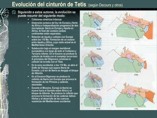 Evolución del cinturón de Tetis   (según Decours y otros) Siguiendo a estos autores, la evolución se puede resumir del siguiente modo: Colisiones ciméricas triásicas Distensión jurásica del Sur de Eurasia y Norte de África e independización progresiva de dos microplacas: Iberia en Europa y Apulia en África. Al final del Jurásico ambos continentes están separados. Rotación de Apulia y colisión con Europa sobre los 110 Ma. Formación de un océano entre Apulia y África, cuyo resto actual es el Mediterráneo Oriental. Subducción bajo el margen meridional euroasiático a lo largo de todo el Cretácico y Terciario inferior. En el Eoceno se produce la colisión de Arabia con el complejo turco-iraní. A principios del Oligoceno comienza la colisión de la India con el Tíbet. En la zona occidental, a los 110 Ma, se abre el Golfo de Vizcaya que separa Iberia de Eurasia; y al sur de Ibéria se desgaja el bloque de Alborán. En el Eoceno-Oligoceno se produce la colisión de Iberia con Europa que provoca la formación de los Pirineos y cadenas asociadas. Durante el Mioceno, Europa (e Iberia) se mueve hacia el Sureste sobre África y el bloque de Alborán. Se produce la colisión que provoca la formación de las cadenas bético-rifeñas y el desarrollo de las cuencas oceánicas del Mediterráneo occidental. 