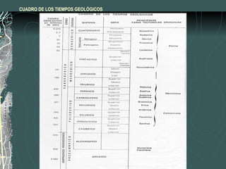 CUADRO DE LOS TIEMPOS GEOLÓGICOS 